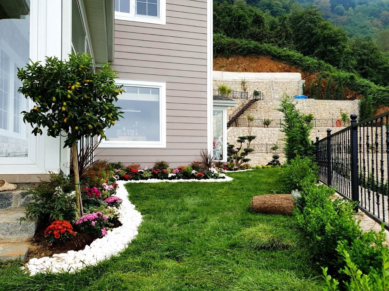 Özel villa bahçesi — kızıl Acer palmatum su bahçesi
